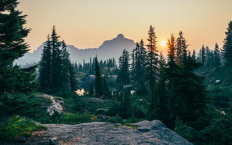 Peaceful Trails nature gift shop